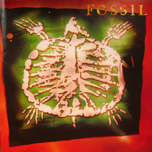CD&gt;Fossil/Fossil