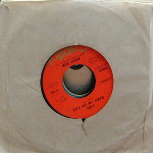 Andy Kim/Here Comes The Mornin&#039; (7 inch) 